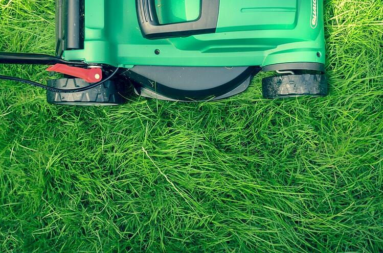 lawn-mower-grass.jpg